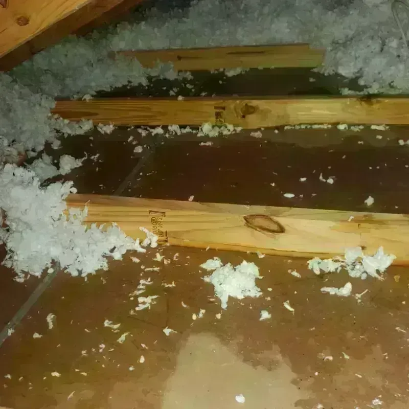 Attic Water Damage in LaFayette, GA