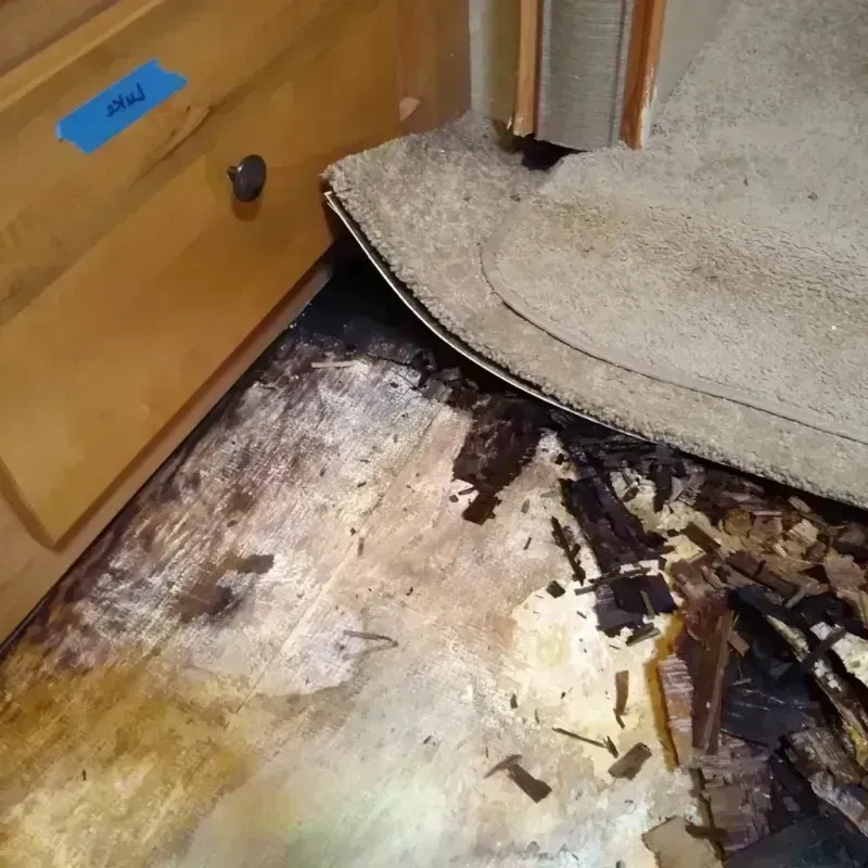 Wood Floor Water Damage in LaFayette, GA